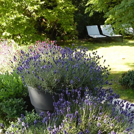 Bed & Breakfast La Clepsydre Fontenay-aux-Roses